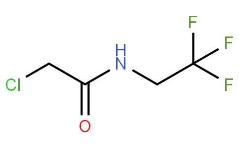 2-chloro-N-(2,2,2-trifluoroethyl)acetamide