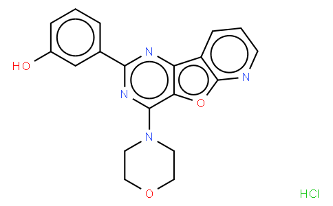3-(4-morpholin-4-ylpyrido[2,3]furo[2,4-b]pyrimidin-2-yl)phenol