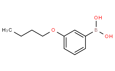 3-丁氧基苯硼酸
