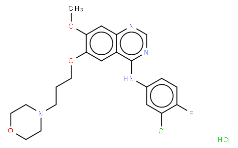 N-(3-chloro-4-fluorophenyl)-7-methoxy-6-(3-morpholin-4-ylpropoxy)quinazolin-4-amine,hydrochloride