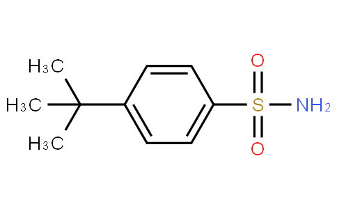 4-Tert-Butylbenzenesulfonamide