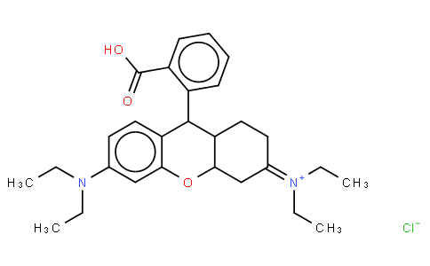 rhodamine B